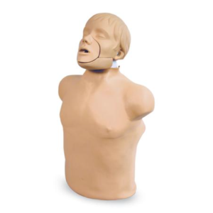 Simulador Brad - Impulso de Mandíbula