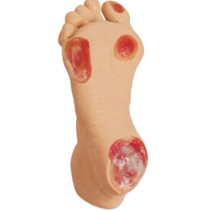 Modelo de Pé Geriátrico com Úlcera de Pressão