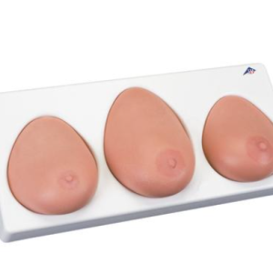 Modelo Para o Exame das Mamas, Três Mamas Individuais