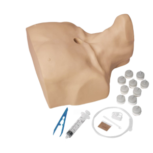 Simulador p/ Infusão Intra-Óssea do Esterno para Adultos