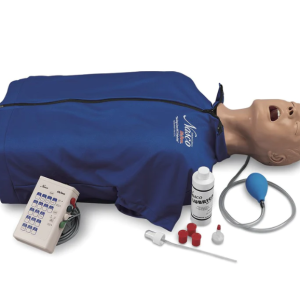 Deluxe CRiSis - Torso para Gestão Avançada das Vias Aéreas
