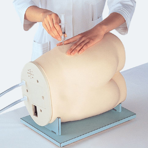 Modelo de Injeção Intramuscular Glútea II