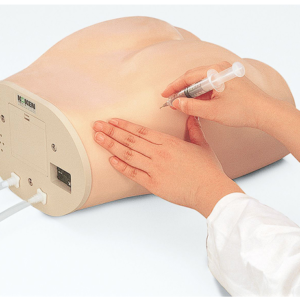Modelo para Injeção Intramuscular no Glúteo